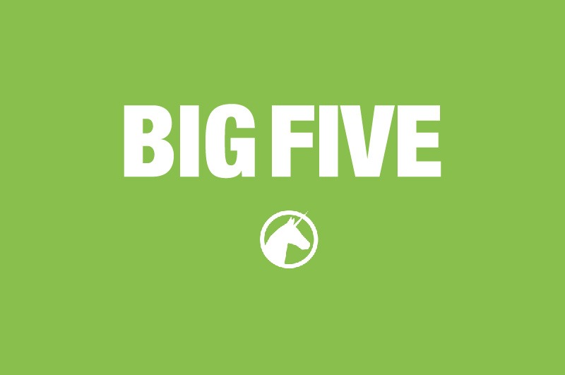 Metodologia Big Five: conheça sua origem e suas 5 dimensões