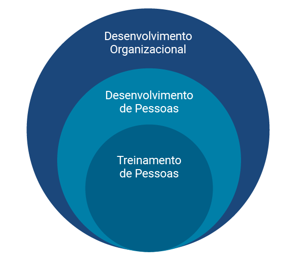 Treinamento e Desenvolvimento de Pessoas: como dominar essa estratégia?